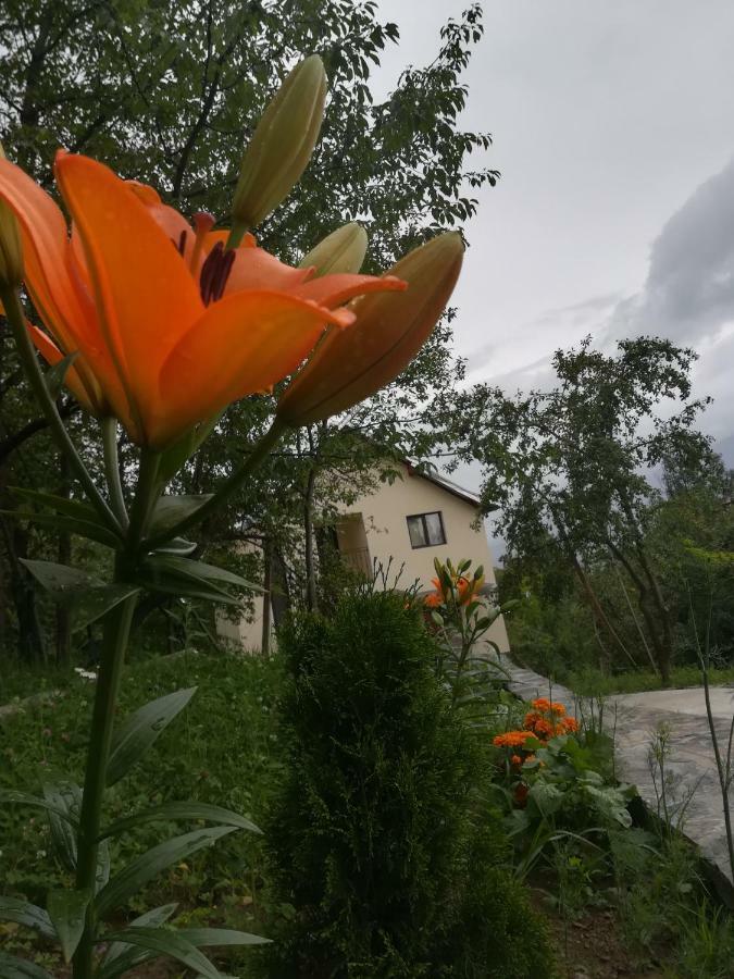 Casa Flutar Villa Моисей Екстериор снимка